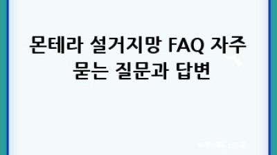 몬테라 설거지망: 주방 정리가 이렇게 쉬워질 줄이야! ✨
