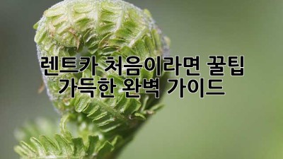 렌트카 처음이라면? 꿀팁 가득한 완벽 가이드!