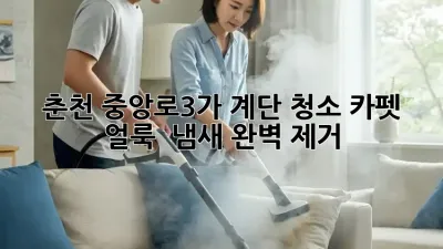 춘천 중앙로3가 계단 청소🧹: 카펫 얼룩 & 냄새 완벽 제거!